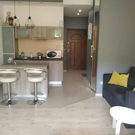 Apartment U Baski