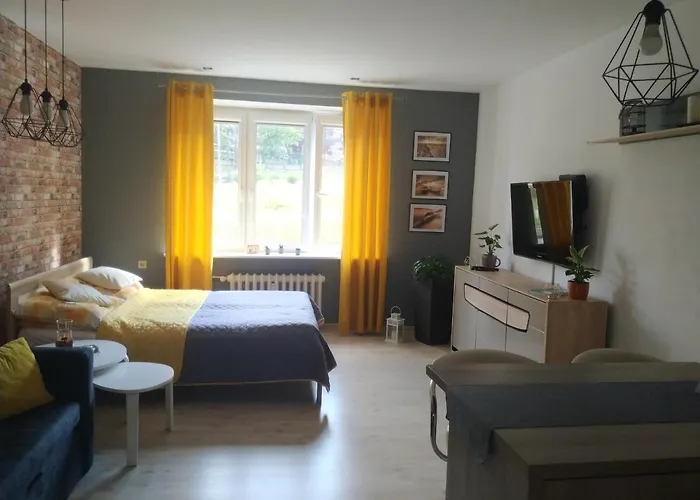 U Baski Апартаменты *